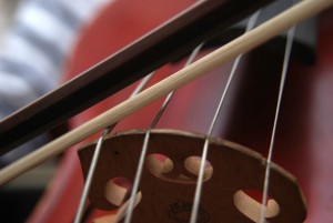 violoncelle-activite